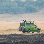 Game Drive in Rwanda